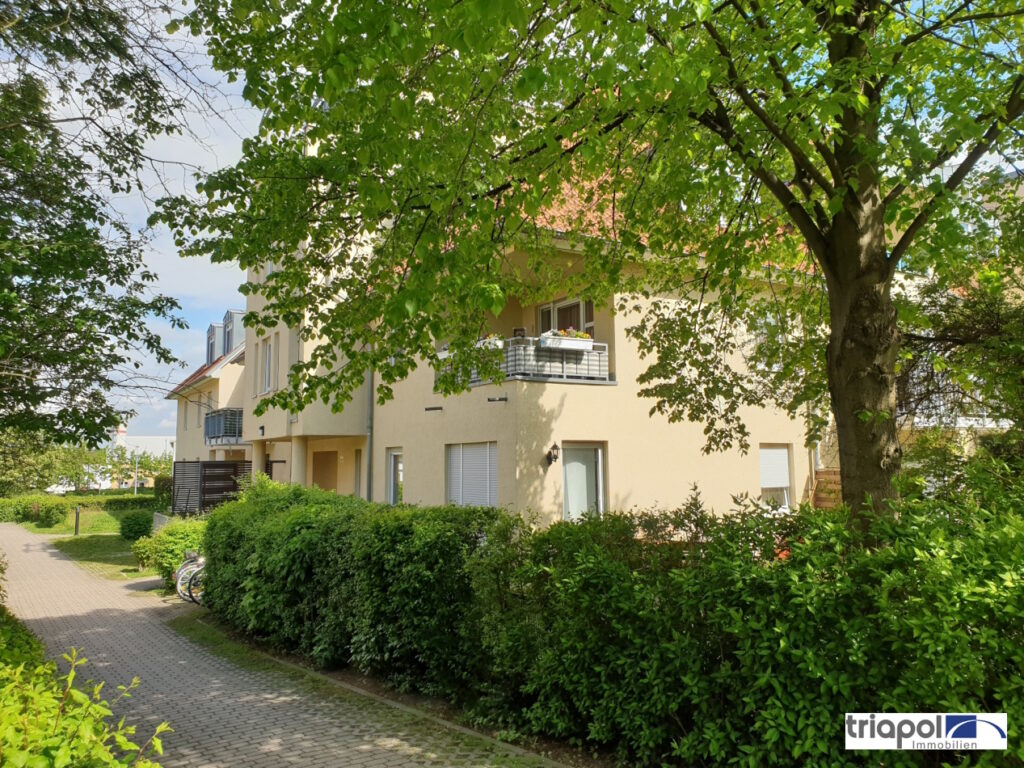 Schöne 2-Zi-Whg. mit Terrasse in grüner und ruhiger Stadtrandlage von Dresden.